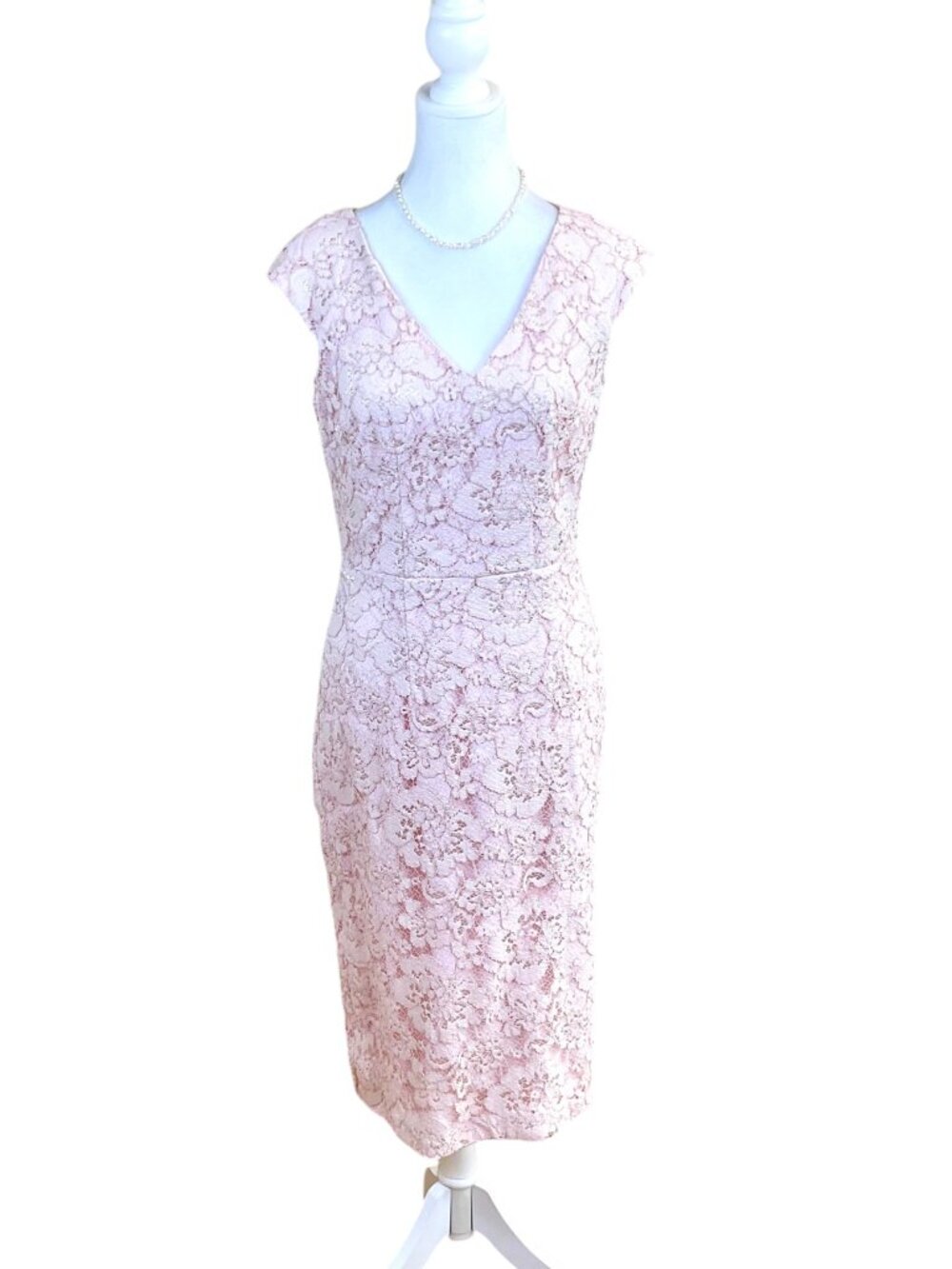 Maggy London Dress Light Pink Lace (6)